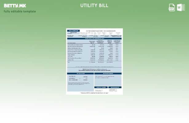Шаблон за електронска сметка за комунални услуги во модерен стил на САД Кук Земј